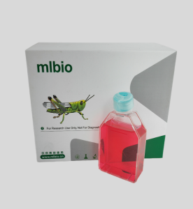 104C1转化的豚鼠胎体细胞主图