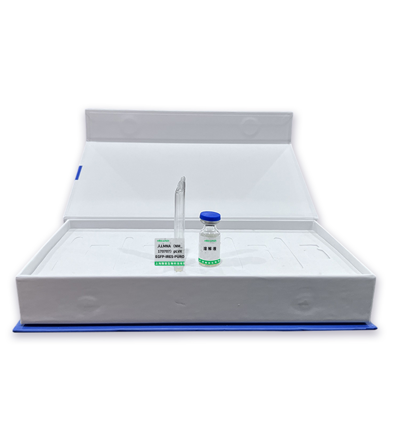 人LMNA(NM_170707)pLVX-EGFP-IRES-PURO主图