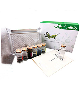 人四磷酸肌醇(IP4)ELISA试剂盒主图