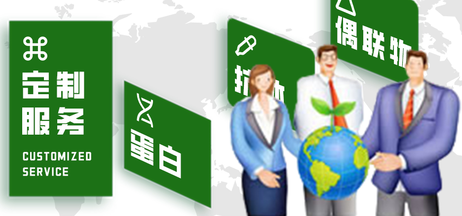 定制服务，蛋白，抗体，偶联物